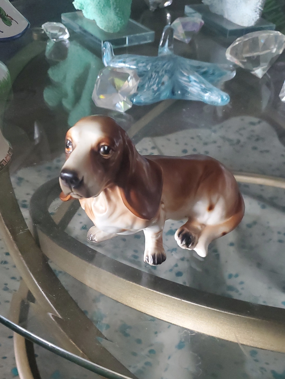 Basset Hound Dog -